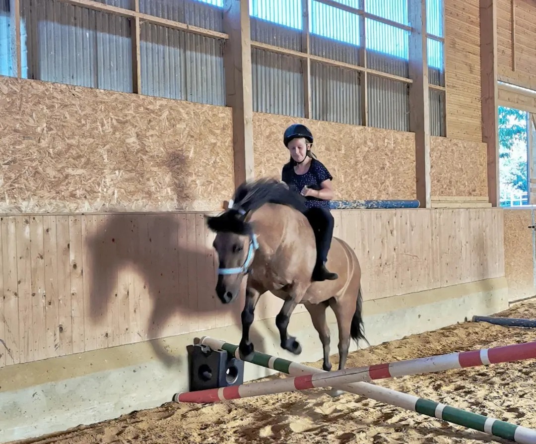 Die Reitschule