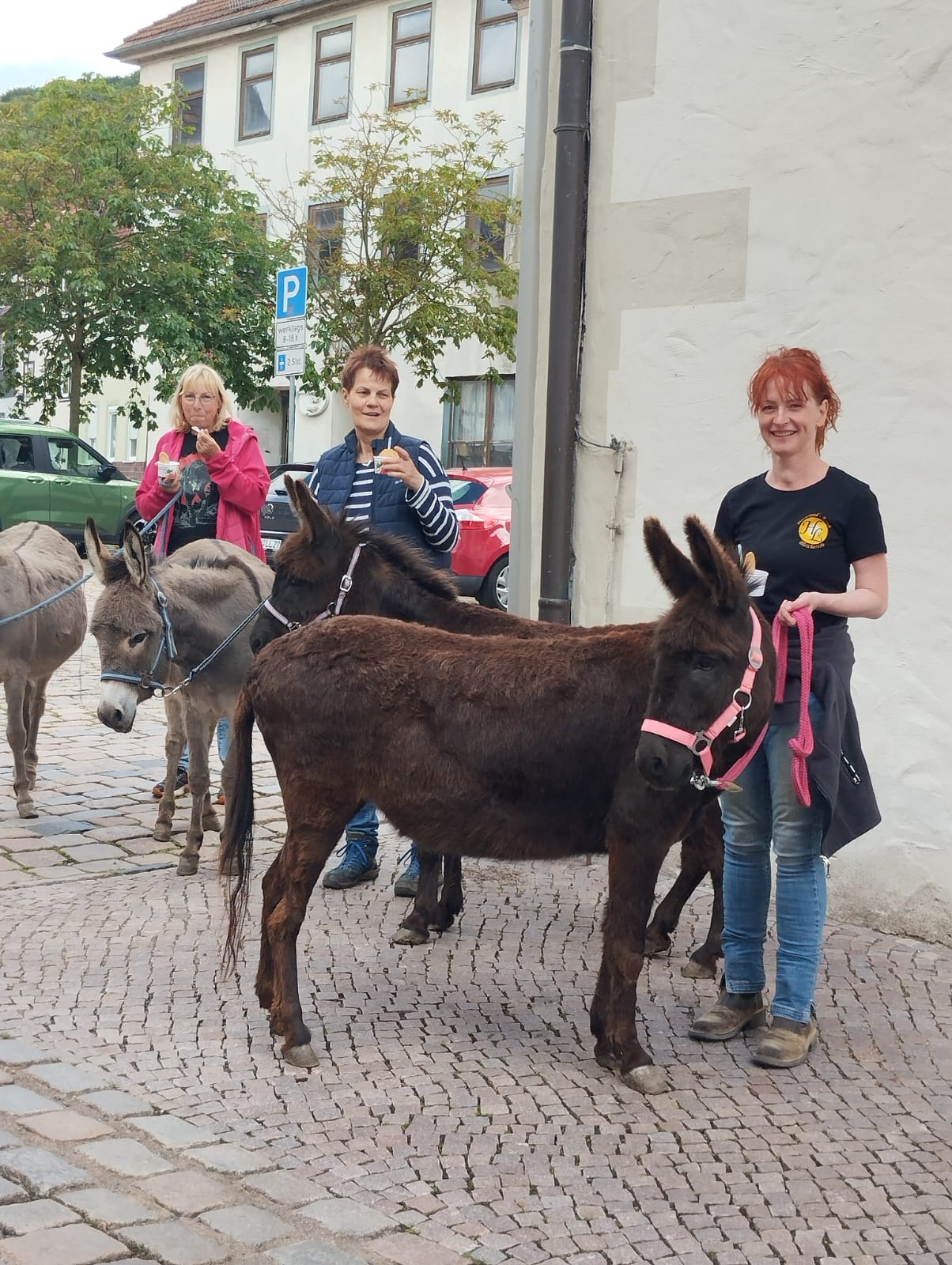 Erstes Bild